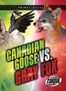 Canada Goose vs. Gray Fox - Nathan Sommer - 9798893048339