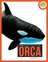 Orca - Pamela Dell - 9798896800323