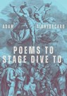 Poems to Stage Dive to - Adam Gianforcaro - 9798896927914