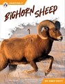 Bighorn Sheep - Abby Doty - 9798898240592