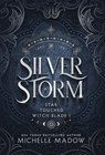 Silver Storm - Michelle Madow - 9798999162526