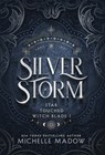 Silver Storm - Michelle Madow - 9798999162526