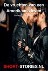 De vruchten van een Amerikaans leven - James T. Farrell - 9789464493962