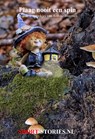 Plaag nooit een spin - Anneke Bloemen - 9789464499261