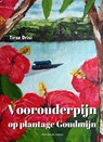 Voorouderpijn op plantage Goudmijn - Tirza Drisi - 9789083369198