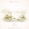 Zen kleurboek - Kleur Moment - 9789465384207