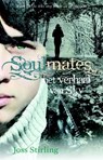het verhaal van Sky - Joss Stirling - 9789020632668