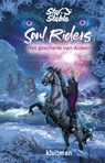 Het geschenk van Aideen - Helena Dahlgren - 9789020635324