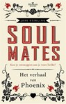 Het verhaal van Phoenix - Joss Stirling - 9789020679922