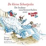De kleine Scheetjesles - Sunna Borghuis - 9789025770259