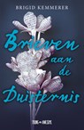 Brieven aan de duisternis - Brigid Kemmerer - 9789025873240