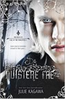 De duistere fae - Julie Kagawa - 9789034754400