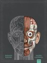 Het menselijk lichaam - Richard Walker - 9789044834390
