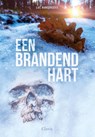 Een brandend hart - Luc Hanegreefs - 9789044851649