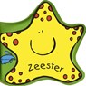Zeester -  - 9789048304004