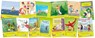 Pakket leesboeken kim-versie kern 9 (13 titels) -  - 9789048718634