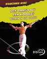 Waanzinnig werk Wie danst op een koord? - Mary Meinking - 9789054831921