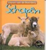 Schapen - Rachael Bell - 9789054955337