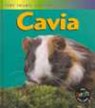 Cavia - Angela Royston - 9789054956402