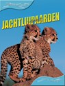 Jachtluipaarden - Sally Morgan - 9789055660407