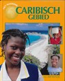 Het moderne Caribisch gebied - Alison Brownlie - 9789055660834