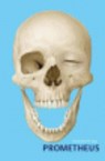 Anatomische Atlas Prometheus 3 delen -  - 9789060607008