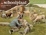 Schoolplaat het volle leven zomerhalfjaar - F. van Dulmen - 9789075531633
