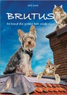 Brutus - Metje Blaak - 9789082187496