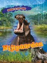 Nijlpaarden - Rachel Koestler-Grack - 9789086647576