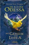 De kleine Odessa  II - Peter van Olmen - 9789401406802