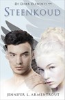 Steenkoud - Jennifer L. Armentrout - 9789402709803