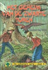 Het geheim van de zwarte toren - Leendert van Wezel - 9789402901191