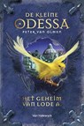 Het geheim van Lode A - Peter van Olmen - 9789461316370