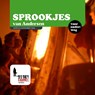 Sprookjes van Andersen - Hans Christian Andersen - 9789461493231