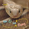 Van ei tot slang - Camilla de la Bedoyere - 9789461750280
