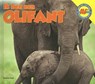Olifant - Aaron Carr - 9789461751461