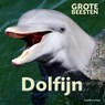 Dolfijn - Stephanie Turnbull - 9789461752550