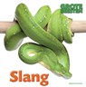 Slang - Stephanie Turnbull - 9789461752628