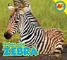 Zebra - Karen Durrie - 9789461753403