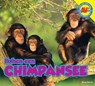 Chimpansee - Karen Durrie - 9789461753700