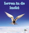 Leven in de lucht - Kate Scott - 9789461754585