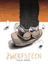 Zwerfsteen - Vervarcke Kathelijn - 9789462345317