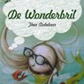 De wonderbril - Thea Dubelaar - 9789462550568
