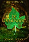 De erfgenaam - Liane Baltus ; Rosalie Derickx - 9789463081900