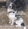 Het grote verhalenboek van Buggle de Beagle - Juliëtte van 't Hoenderdal - 9789465099897
