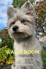 Wally Boom - Hans van der Meer - 9789465120942