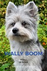 Wally Boom - Hans Van der Meer - 9789465121031