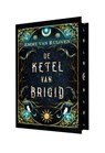 De ketel van Brigid - Emmy van Ruijven - 9789493419261