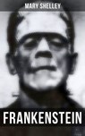 Frankenstein - Mary Shelley ; Miriam Fritz - 4066338113979