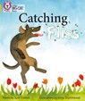 Catching Flies - June Crebbin - 9780007461813